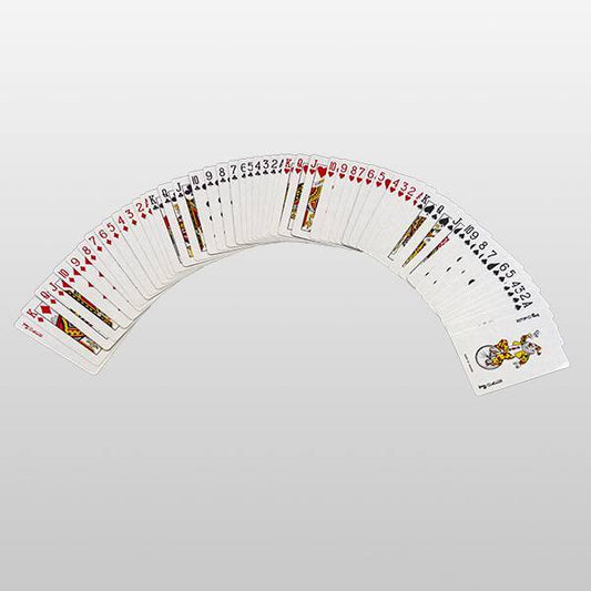 Holiday World & Splashin' Safari Playing Cards